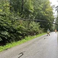 img_5542.jpg